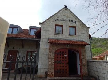 Borgaléria Pinceborozó Tokaj