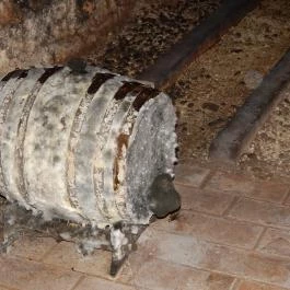 Borgaléria Pinceborozó Tokaj - Belső