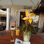 Castrum Cafe & Restaurant Szentendre - Étel/ital