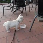 Castrum Cafe & Restaurant Szentendre - Külső kép