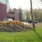 Dráva Hotel Thermal Resort Harkány - Medence/kert