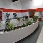 Erzsébet Szálloda Nyíregyháza - Belső