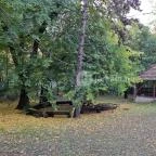 Erzsébet Szálloda Nyíregyháza - Környék