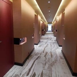 Four Points by Sheraton Kecskemét Hotel & Konferenciaközpont Kecskemét - Belső