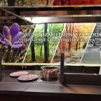 Grandhotel Galya Galyatető - Vendéglátás