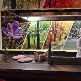 Grandhotel Galya, Galyatető - Vendéglátás