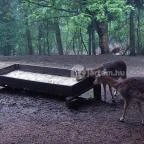 Grandhotel Galya Galyatető - Környék
