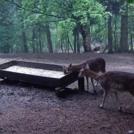Grandhotel Galya, Galyatető - Környék
