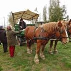 Hotel Lido Vonyarcvashegy - Környék