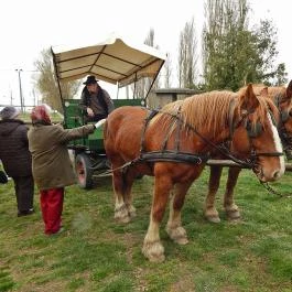 Hotel Lido Vonyarcvashegy - Környék