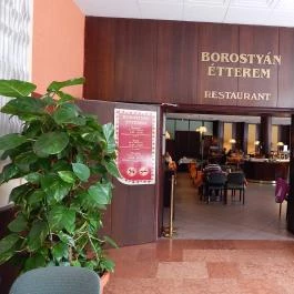 Hotel Lövér Sopron - Belső