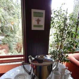 Hotel Lövér Sopron - Vendéglátás