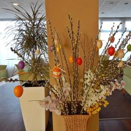 Hotel Szieszta, Sopron - Belső