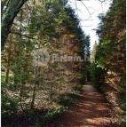 Hotel Szieszta Sopron - Környék