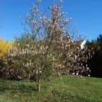 Hotel Szieszta Sopron - Környék