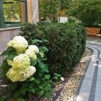 Szent Lukács Gyógyfürdő és Uszoda Budapest - 