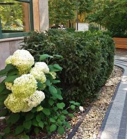 Szent Lukács Gyógyfürdő és Uszoda