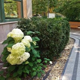 Szent Lukács Gyógyfürdő és Uszoda Budapest - Egyéb