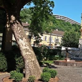 Szent Lukács Gyógyfürdő és Uszoda Budapest - Egyéb