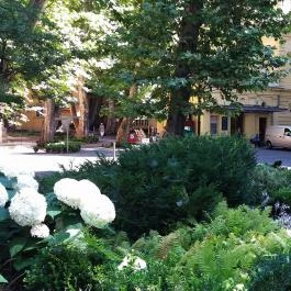 Szent Lukács Gyógyfürdő és Uszoda Budapest - Egyéb