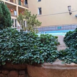 Szent Lukács Gyógyfürdő és Uszoda Budapest - Egyéb