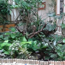 Magház Étterem & Teaház Budapest - Egyéb