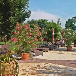 Mesés Shiraz Hotel Egerszalók - Medence/kert