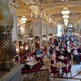 New York Kávéház Budapest - Belső