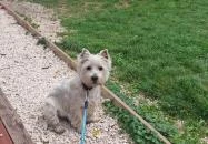 Nyereg Itató Budapest