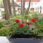 Veranda Étterem és Kávézó Tata - Külső kép