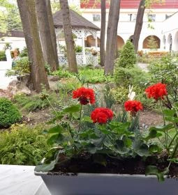 Veranda Étterem és Kávézó