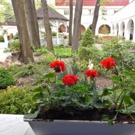 Veranda Étterem és Kávézó Tata - Külső kép