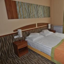 Park Hotel Gyula Gyula - Szobák