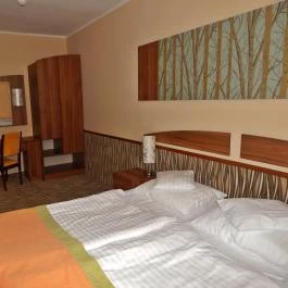 Park Hotel Gyula Gyula - Szobák