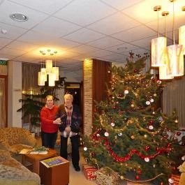 Park Hotel Gyula Gyula - Belső