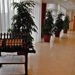 Greenfield Hotel Golf & Spa Bük, Bükfürd? - Belső