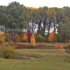 Greenfield Hotel Golf & Spa Bük, Bükfürd? - Környék