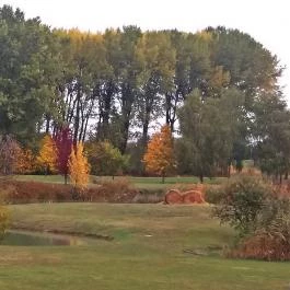 Greenfield Hotel Golf & Spa Bük, Bükfürd? - Környék