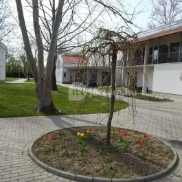 Termál Apartmanok & Kemping Harkány Harkány - Külső kép