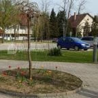 Termál Apartmanok & Kemping Harkány Harkány - Külső kép