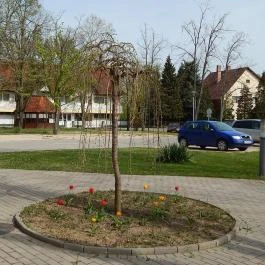 Termál Apartmanok & Kemping Harkány Harkány - Külső kép