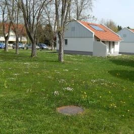 Termál Apartmanok & Kemping Harkány Harkány - Külső kép