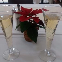 Tisza Balneum Hotel Tiszafüred - Vendéglátás