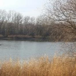 Tisza Balneum Hotel Tiszafüred - Környék