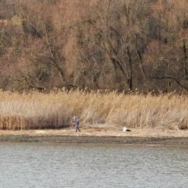 Tisza Balneum Hotel Tiszafüred - Környék