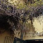 V. András Étterem & Kávéház Sárospatak - Egyéb