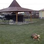 X-games Hotel, Sport és Rendezvényközpont Tiszaug - Medence/kert