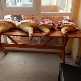 X-games Hotel, Sport és Rendezvényközpont Tiszaug - Egyéb