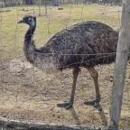 Zichy Park Hotel Bikács - Egyéb