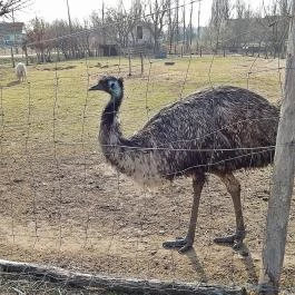 Zichy Park Hotel Bikács - Egyéb